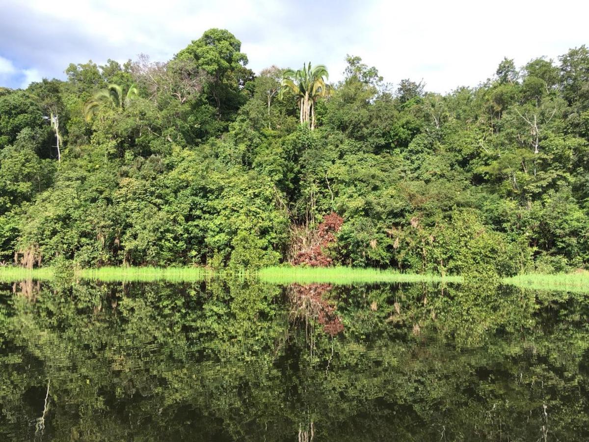 Amazon Arowana Lodge Careiro Exterior foto